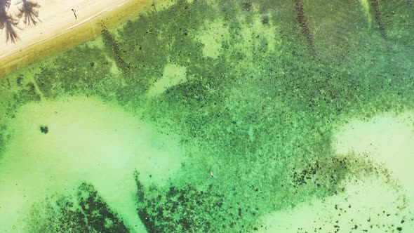 Wide angle flying tourism shot of a white sand paradise beach and blue sea background in 4K alt