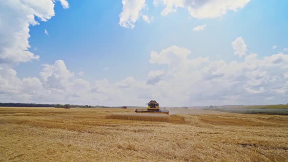 Grain harvesting combine.  Landscape of endless fields under blue sky with clouds alt