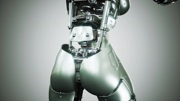 Sexy Robot Android Woman Cyborg