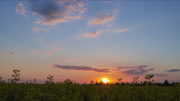 Sunset Over a Rapeseed Field