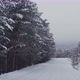 Snowy road and foggy forest. - VideoHive Item for Sale