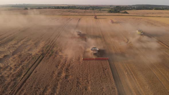 Aerial shot: flying in front of combines harvesting wheat