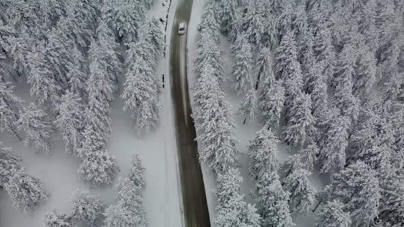 Aerial drone view of snow-covered coniferous forest and a desert road high in the mountains