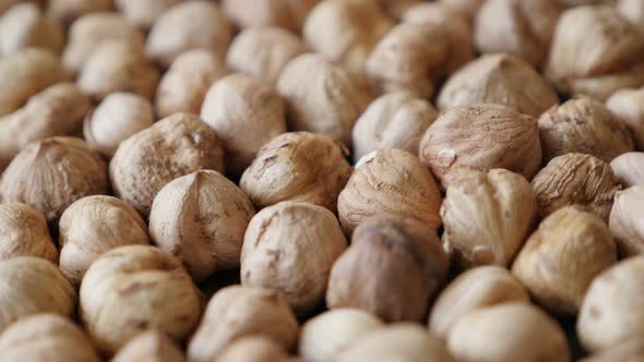 Corylus avellana cob fruit on table slow tilt 4K 2160p 30fps UltraHD footage - Food background of ra alt