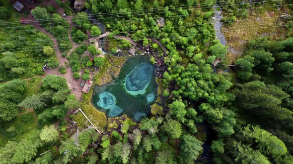 geyser lake in the middle of the forest