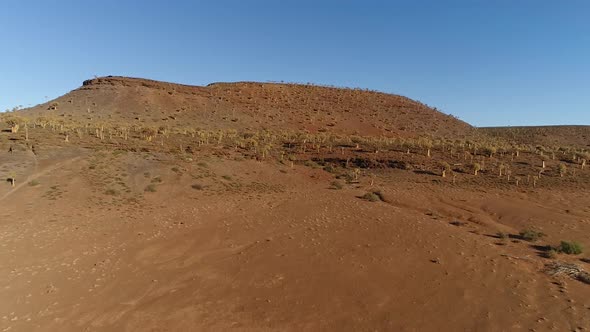 Stunning aerial views over the old Quiver tree forest outside Nieuwoudtville in the Northern Cape of alt