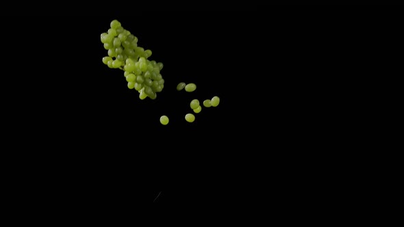 Close Up at the Grapes Flies Up and Spinning on a Black Background in Slow Motion Shot Vivid Fruit alt