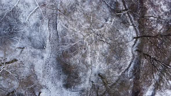 Bird's-Eye-View Tracks In Snow Covered Suburban Winter Woodland UK Overhead View