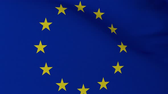 Waving Europe flag.