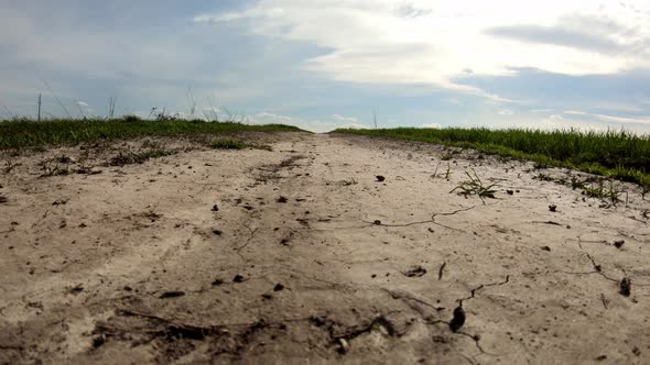 Dirt Trail In The Field, Dried Dirt Road . The Process Of Revival