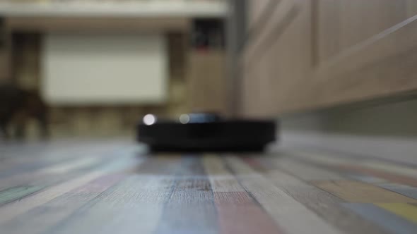 Robot Vacuum Cleaner Cleans the Floor Close Up alt