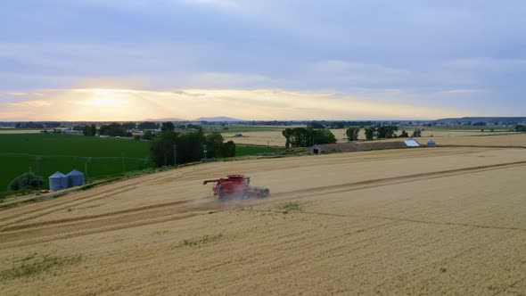 Wheat Fields