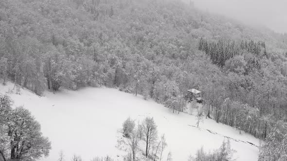 Aerial View of a Frozen Forest with Snow Covered Trees at Winter During Foggy Journey alt
