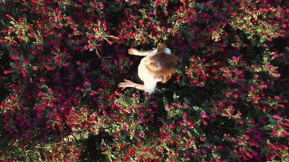 Flying close to girl dancing among red flowers