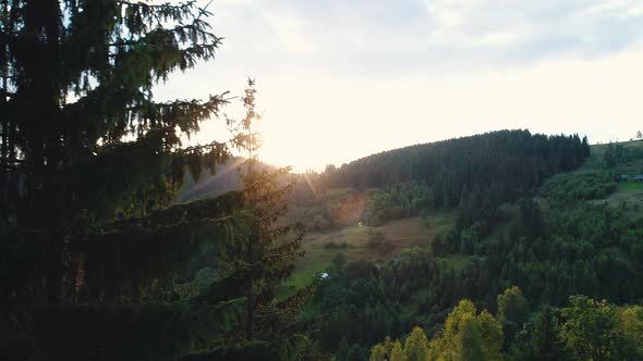 Sunset Over a Mountain Forest alt