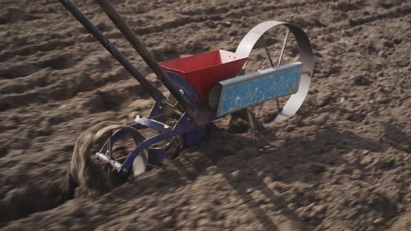 Man Planting Seeds in the Garden Using a Seeder