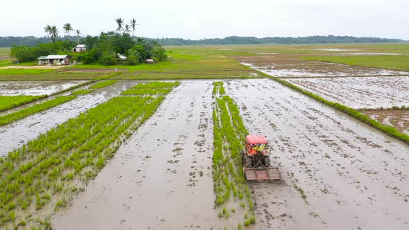 Paddy Field with Water, Top View. Agriculture in the Philippines alt