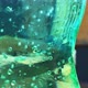 Gas Bubbles In Limonade Drink