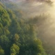 Sunrise Forest Aerial - VideoHive Item for Sale