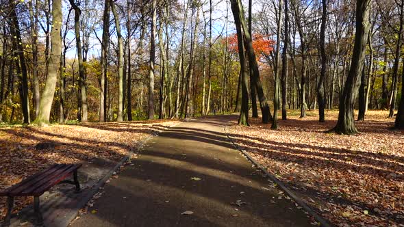 Walkway in the autumn park. alt
