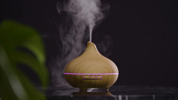 Humidifier Diffuser Bambus Green Plant Black Background