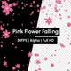 Blossom Pink Flower Falling with Alpha - VideoHive Item for Sale