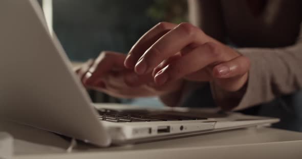 Businesswoman Using Laptop in Evening alt