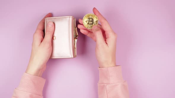 Female hands hold golden bitcoin and wallet on pink background