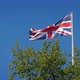 Union Jack Flag Above Trees In The Wind - VideoHive Item for Sale