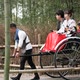Tourists Enjoying a Rickshaw Ride at Arashiyama Bamboo Forest in Kyoto Japan - VideoHive Item for Sale