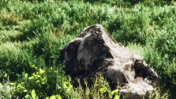 Big Rocks on Field with Dry Grass alt