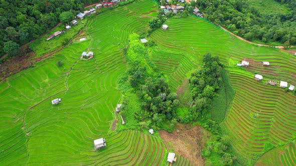 Aerial video of drones flying over rice terraces alt