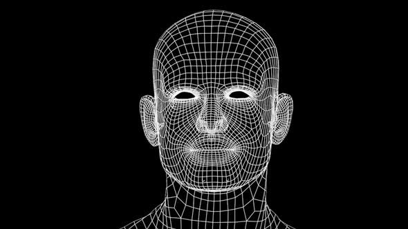 Grid Human Head Speaking