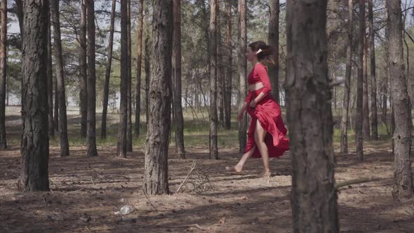 Graceful Woman in Red Dress Dancing in the Forest Landscape. Beautiful Contemporary Dancer. Graceful alt