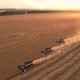 Combine harvesters harvest at sunset. - VideoHive Item for Sale