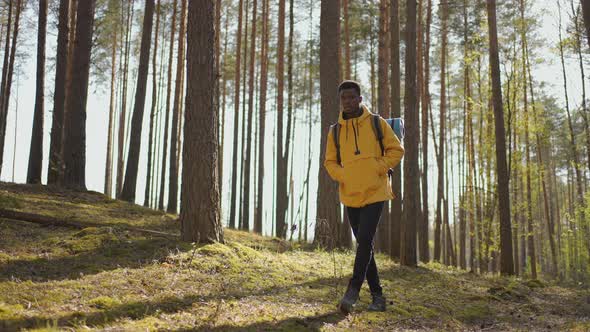 Black African Male Hiking on Trail Up Peaceful Lush High Elevation Green Forest with Sun Flares alt