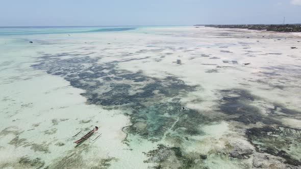 Low Tide in the Ocean Near the Coast of Zanzibar Tanzania Slow Motion alt