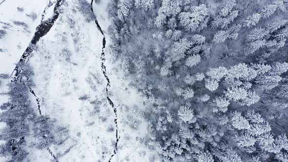 Bird's Eye View Of Stream And Forest Covered With Snow At Wintertime In Kuznice, Zakopane, Poland. - alt