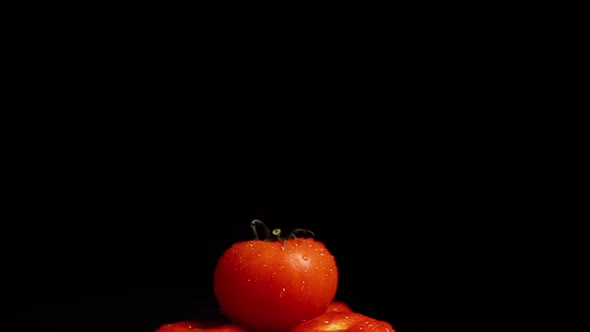 Washing the Ripe Large Tomatoes