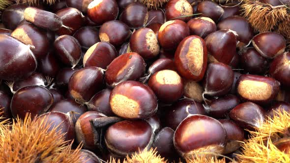 Chestnuts alt