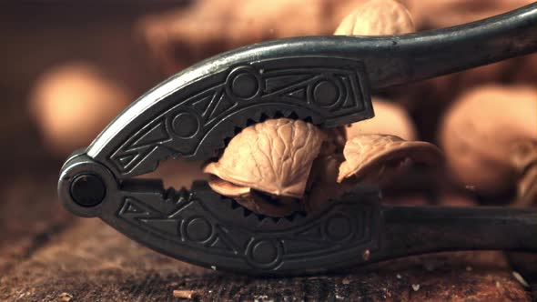 Super Slow Motion Walnut Pricked Nutfol alt