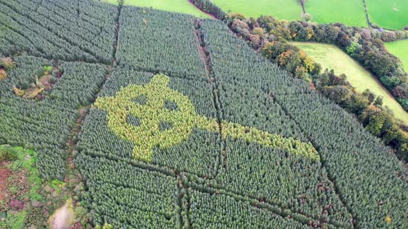 Aerial View of Celtic Cross Growing in a Forest in County Donegal  Ireland alt