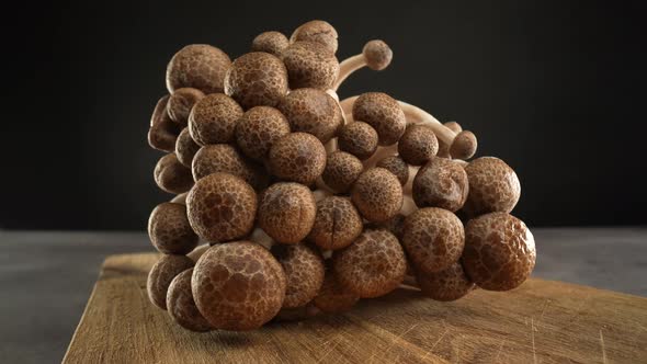 Shimeji Mushrooms 02 alt