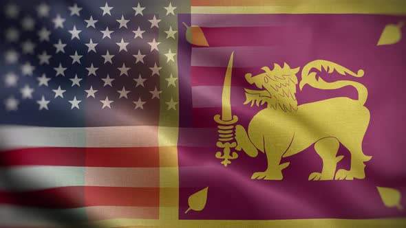 USA Sri Lanka Flag Loop Background 4K