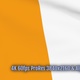 Ivory Coast waving flag transition 4k and 1080 HD footage with alpha channel - VideoHive Item for Sale