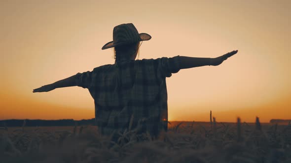 Happy Girl Child Plays Pilot on Wheat Field at Sunset alt