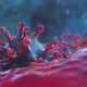 Virus Living inside the body - VideoHive Item for Sale