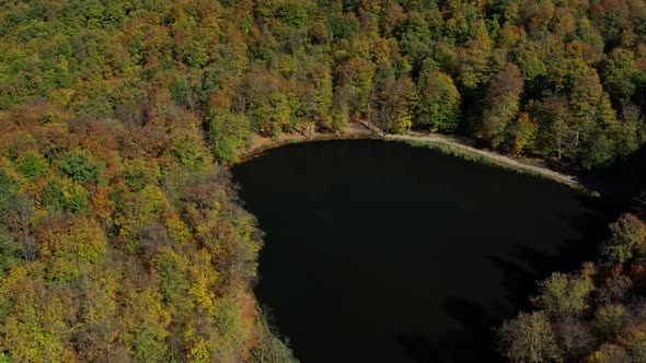 Aerial Drone Zoom Out of Autumn Forest Trees Near Gosh Lake in Armenia alt