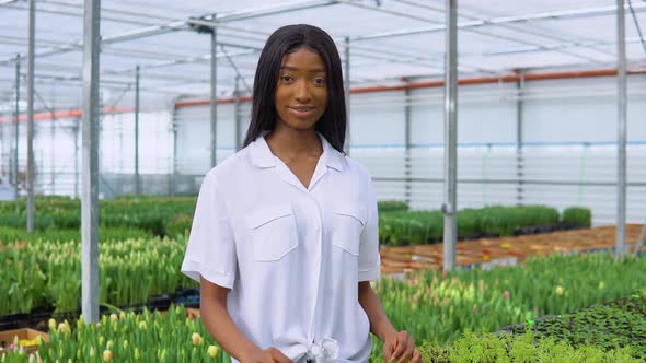 African American Young Girl in a White Shirt Takes Care of Plants in a Greenhouse alt