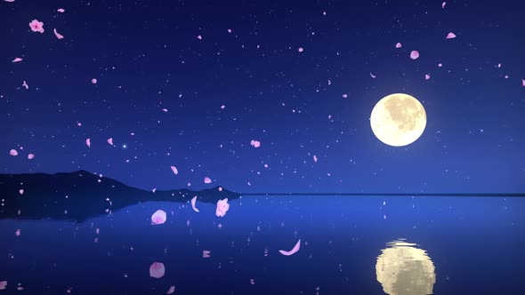 Petals Falling Down At moonNight, Motion Graphics | VideoHive
